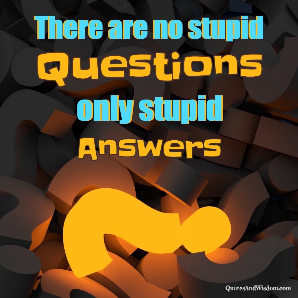 QuotesAndWisdom Quote There Are No Stupid Questions Only Stupid 